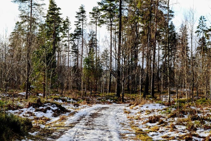 منزل الضيف Mullsjö  في Marston Hill المظهر الخارجي الصورة