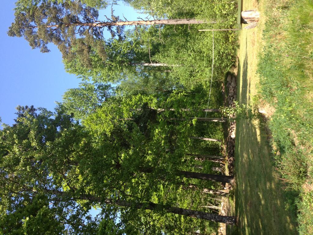 منزل الضيف Mullsjö  في Marston Hill المظهر الخارجي الصورة
